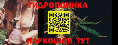 шишки Татарск