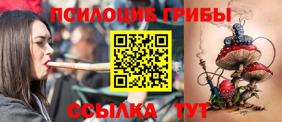 Галлюциногенные грибы GOLDEN TEACHER Протвино
