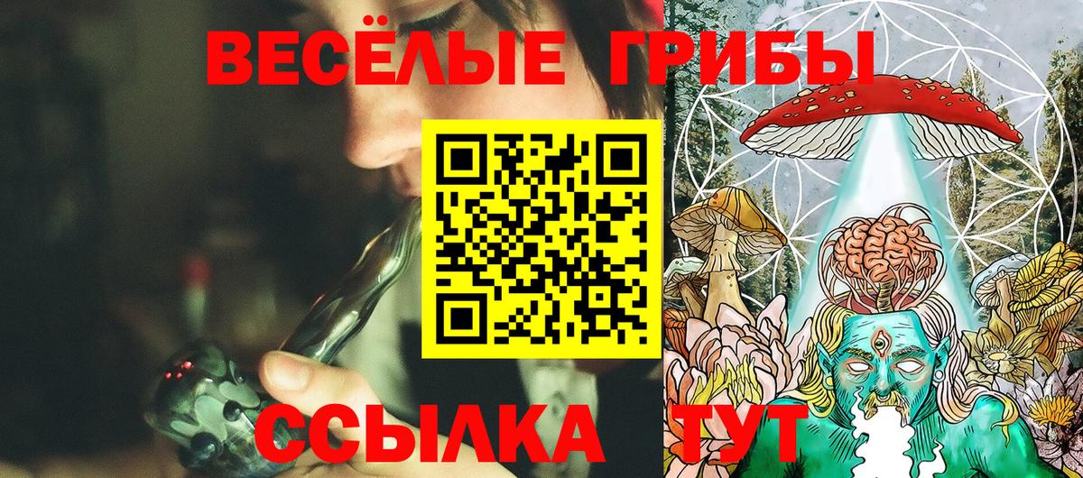 Галлюциногенные грибы прущие грибы  Вход с VPN  Протвино 