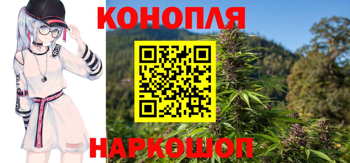 Марихуана сатива Протвино